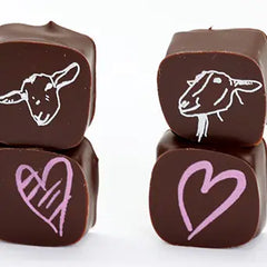 For Valentine's! Big Picture Farm Chocolate Covered Goat Milk Caramels with Hearts