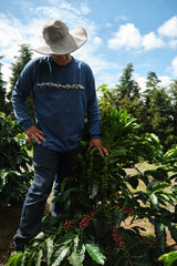 One Roast Only!! Costa Rica Finca Chayote Yellow Honey