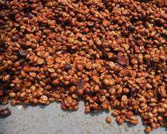 New!!  Costa Rica Las Lajas Finca La Esperanza Black Diamond