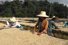 New!! Ethiopia Agaro Duromina #4