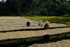 Holiday Roast #1: Ethiopia Yabitu Koba