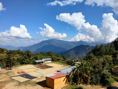 Mexico La Concordia Organic