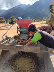 Mexico La Concordia Organic